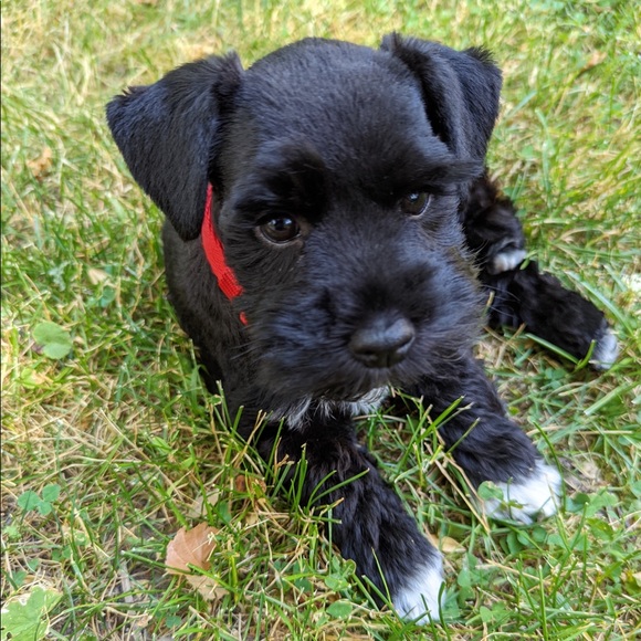 Meet your Posher, Janelle - Picture 2 of 15